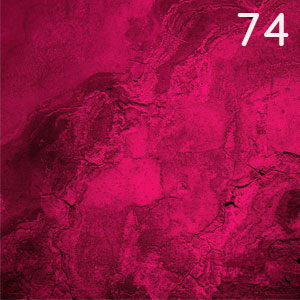 Motiv: Viva Magenta
